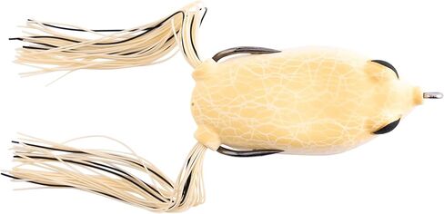 بيركلي بيركلي مستنقع اللورد هولو الجسم الضفدع in Kuwait