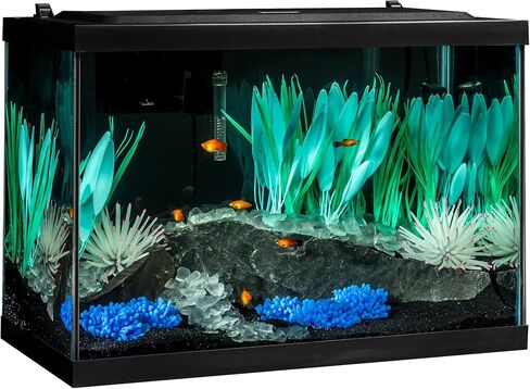 مجموعة خزان الأسماك Tetra ColorFusion سعة 20 جالون، تتضمن إضاءة LED وديكور in Kuwait