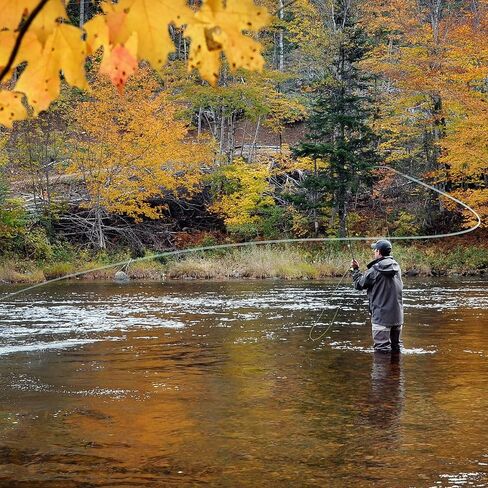 The Fly Fishing Place Yellow Elk Hair Caddis Classic Trout Dry Fly - Set of 6 Flies Size 18 in Saudi Arabia