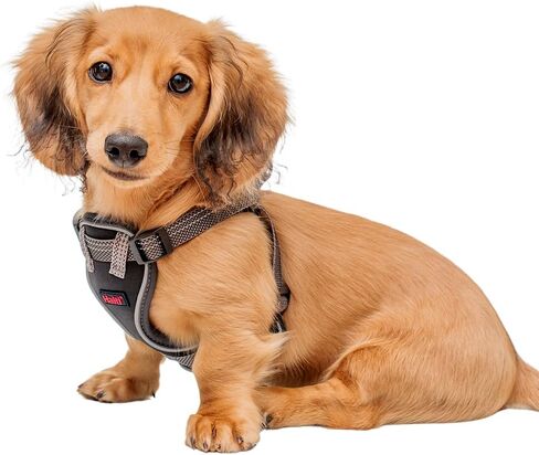 Halti Anatomy Puppy Harness - يوفر حرية الجرو الخاصة بحركة المشي المريح. مناسبة مع 4 نقاط من التعديل. مناسبة لسلالات الكلاب المصغرة (حجم X-Small ، رمادي) in Kuwait