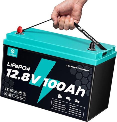 مجموعة بطاريات LiFePO4 بقوة 12 فولت و100 أمبير في الساعة 31، بطارية ليثيوم ذات دورة عميقة بقدرة 1280 وات في الساعة، 120 أمبير BMS، أكثر من 15000 دورة، حماية من القطع عند انخفاض درجة الحرارة، بطارية ليثيوم للمركبات الترفيهية، البحرية، محرك الصيد، الطاقة ال in Kuwait