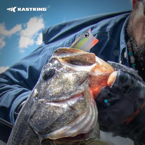 KastKing Superpower Braided Fishing Line and Lure Kit, 4X Braid Line with Hard & Soft Baits, Topwater, Jigs, Rigs&Jerkbaits, Complete Freshwater Fishing Gear Set for Bass,Trout & Walleye,Gift for Men in Saudi Arabia