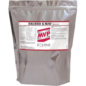 MVP Exceed 6-Way (8 lb) All in One High Level Performance Horse Support in Kuwait
