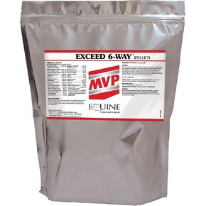 MVP Exceed 6-Way (8 lb) All in One High Level Performance Horse Support in Saudi Arabia