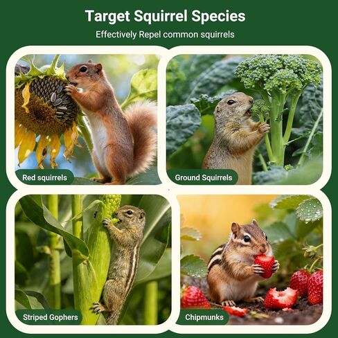 Squirrel Repellent Outdoor Peppermint Oil Squirrel Repellent Moth Balls, 24-Pack Powerful Chipmunk Repellent Peppermint Balls for Outdoor, Pet Safe Botanical Squirrel Deterrents for Garden, Yard, RV in Saudi Arabia