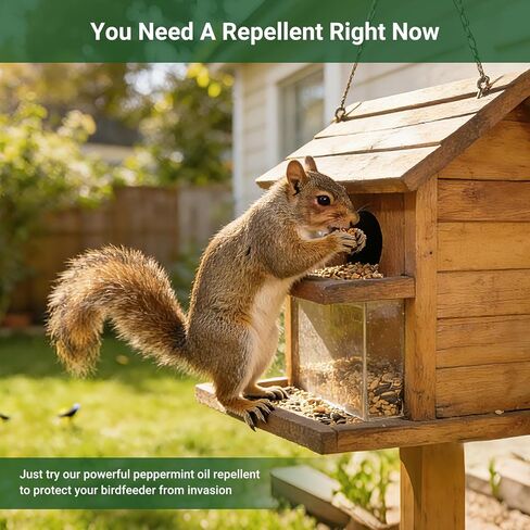 Squirrel Repellent Outdoor Peppermint Oil Squirrel Repellent Moth Balls, 24-Pack Powerful Chipmunk Repellent Peppermint Balls for Outdoor, Pet Safe Botanical Squirrel Deterrents for Garden, Yard, RV in Saudi Arabia