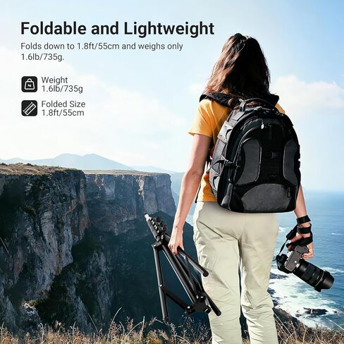 NEEWER Basics 6ft/180cm Photography Tripod Light Stand, 4 Section Foldable Metal Stand with 1/4" Screw & 5/8" Stud for Camera, Ring Light, Accessories, Max Load: 11lb/5kg, ST180B in Saudi Arabia