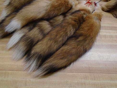 Tanned Red Fox Tail in Saudi Arabia