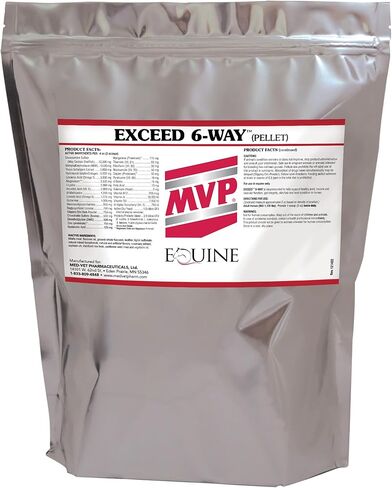 MVP Exceed 6-Way (8 lb) All in One High Level Performance Horse Support in Kuwait