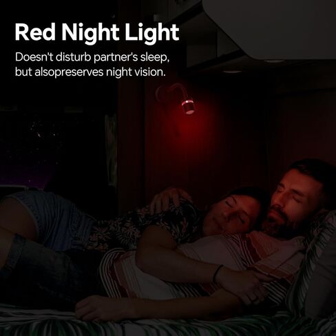 acegoo 12V LED Reading Light, RV Dimmable Reading Lamp with 20W USB-C Charger Red Nightlight & Steel Flexible Neck Light for Boat Camper Van Trailer Interior, Surface Mount, 2-Pack (Standard) in Saudi Arabia