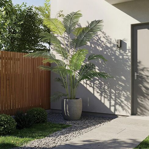 نبات نخيل الأريكا الاصطناعي بطول 6 أقدام من Worth Garden، عبوتين في وعاء، شجرة حرير قصب النخيل المزيفة في الأماكن المغلقة والخارجية، Dypsis Lutescens، ديكور منزلي لنباتات الحرير الصناعي مقاس 70 بوصة، وعاء أسود و20 جرام من الطحالب المجففة متضمنة in Kuwait