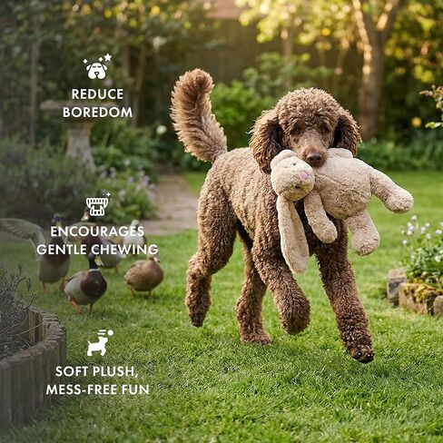 Pet Lou Colossals Durable Squeaker Dog Toys - Durable Fabric - Tough and Reliable for Aggressive Chewers, Multicolor, Large, for All Breed Sizes in Kuwait