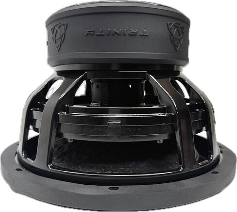 مضخم صوت Trinity Audio TAS-B12D2 مقاس 12 بوصة بقدرة 4500 وات مزدوج 2 أوم in Saudi Arabia