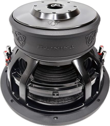 مضخم صوت Trinity Audio TAS-B12D2 مقاس 12 بوصة بقدرة 4500 وات مزدوج 2 أوم in Saudi Arabia