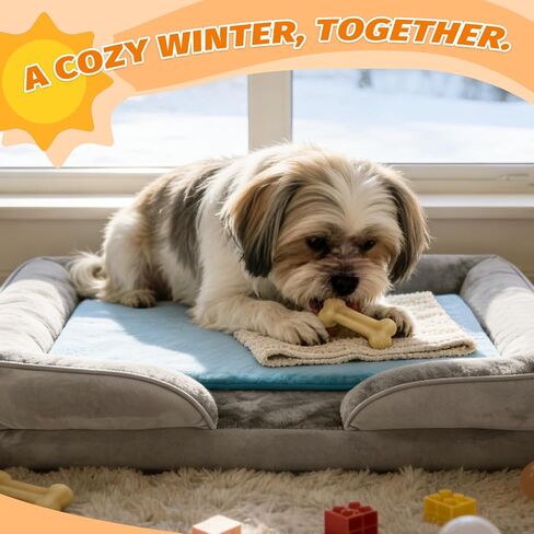 anphsin الحيوانات الأليفة وسادة التدفئة للحيوانات الصغيرة، وسادة ساخنة مقاومة للحريق مع حماية الزائد الحبل المضادة للمضغ لجرو القطط الصغيرة الكتاكيت الأرانب القنافذ في الهواء الطلق داخلي 9 × 12 بوصة in Saudi Arabia