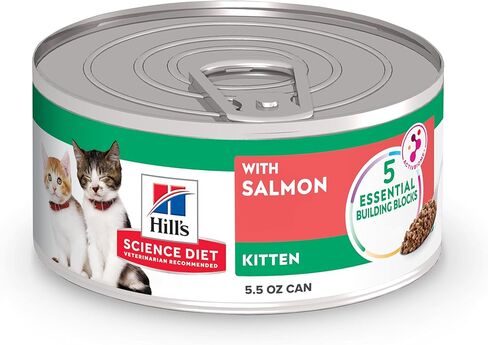 Hill's Science Diet Kitten Liver & Chicken Entrée Wet Cat Food, 2.9 oz. Cans, 24-Pack in Kuwait
