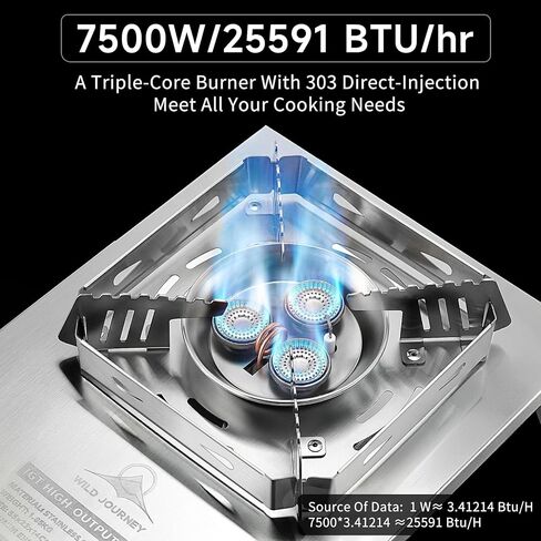 Camping Stove, Portable Foldable Stainless Steel Windproof Gas Stove with Electronic Ignition, Adjustable Flame, 25591 BTU Output, Includes Carry Bag, for IGT Table, Outdoor, Camping & Party Cooking in Saudi Arabia