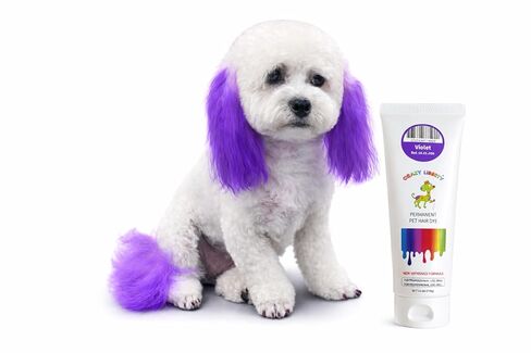 Crazy Liberty Permanent Pet Hair Dye Gel for Dogs and Horses (Orange) - Professional Grooming Color Gel, for Creative Groomers, 2.8 Fl Oz in Kuwait
