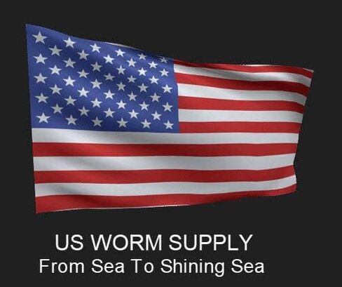Generic Big Canadian Nightcrawlers for Fishing by US Worm Supply Live delivery Guaranteed by Worlds Largest Supplier of Live Bait., neutral in Saudi Arabia