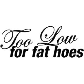 Too Low for Fat Hoes Funny Quote Vinyl Decal Sticker Car Window Laptop Waterproof - Black in Kuwait