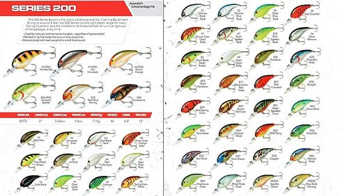 BANDIT LURES Series 200 Crankbait Bass Fishing Lures, Fishing Accessories, Dives to 8-feet Deep, 2', 1/4 oz, Solid Black, (BDT218) in Saudi Arabia