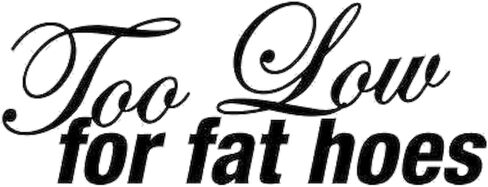 Too Low for Fat Hoes Funny Quote Vinyl Decal Sticker Car Window Laptop Waterproof - Black in Kuwait