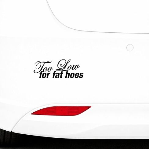 Too Low for Fat Hoes Funny Quote Vinyl Decal Sticker Car Window Laptop Waterproof - Black in Kuwait