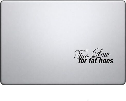 Too Low for Fat Hoes Funny Quote Vinyl Decal Sticker Car Window Laptop Waterproof - Black in Kuwait