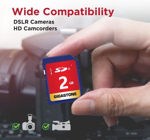 بطاقة ذاكرة GIGASTONE سعة 2 جيجابايت فئة 4 لملفات صوت وموسيقى وفيديو وكاميرا DSLR ومسجل كاميرا فيديو DSC، مع حافظة صغيرة واحدة in Saudi Arabia