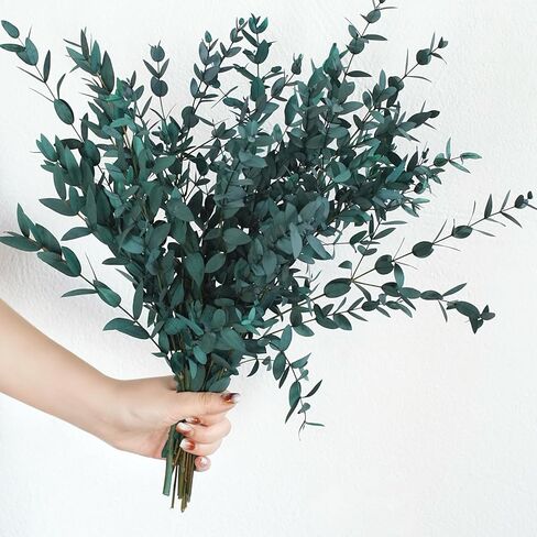 Dried Eucalyptus Leaves Preserved Greenery Stems, 8-14 PCS Eucalyptus Garland Branches, 4 OZ Natural Eucalyptus for Shower, Green Leaves Plant Bundle for Wedding Wreath Party Home Decor Vase Filler in Saudi Arabia