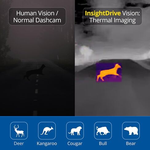 كاميرا InsightDrive الحرارية للسيارة، كاميرا قياس تعمل بالأشعة تحت الحمراء مع خاصية اكتشاف 656 قدم وتنبيه اصطدام الغزلان، نظام رؤية ليلية للسيارة للسلامة على الطرق الوعرة والطرق السريعة in Kuwait