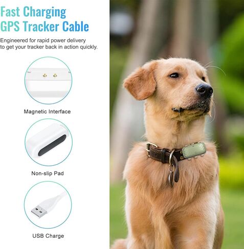 كابل شحن مغناطيسي لجهاز GPS Dog XL & XL Adventure، سلك USB للشحن السريع 2 في 1، بديل متين لجهاز تعقب GPS الذكي للكلاب in Kuwait