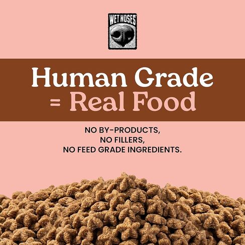 Little Stars Dog Training Treats – for All Pet Sizes, Breeds – All-Natural Puppy Treat – 100% Human-Grade – Delicious Snacks to Train Dogs, Puppies – Peanut Butter, 9 Oz. (2-Pack) in Saudi Arabia