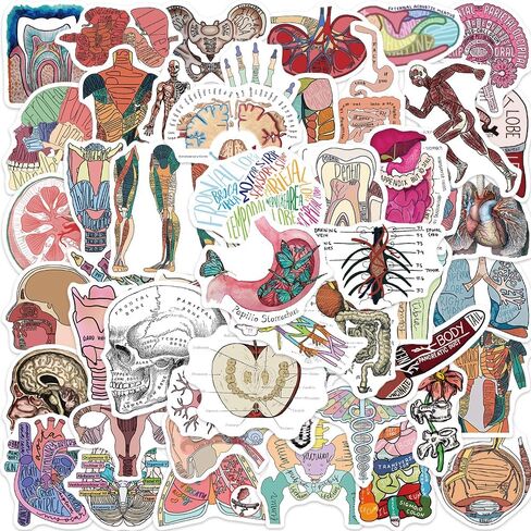 Teacher Stickers 110PCS, Vinyl Waterproof,Teacher Appreciation Stickers for Water Bottles Laptop,Teachers Appreciation Stickers in Bulk Teacher's Day Gift in Kuwait
