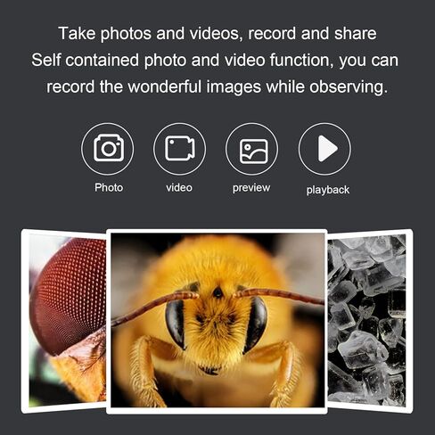 مجهر رقمي محمول، مجهر محمول 1000X مع شاشة LCD 2 بوصة، 8 مصابيح LED، فيديو 1080 بكسل، صورة 32 متر، عرض الكمبيوتر الشخصي لـ 7 وما فوق، لنظام التشغيل OS X 12.0 وما فوق in Kuwait