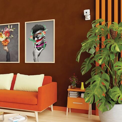 Lorex Connect 2K Indoor Wi-Fi Camera | New APP | Color Night Vision | Person & Face Recognition | Versatile Mounting | 2-Way Talk | 24/7 Recording | Privacy Mode | Local SD or Cloud Storage Option in Kuwait