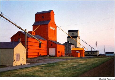 Harman Phoenix II 200 35mm Color Negative Roll Film, ISO, 24 Exposures in Kuwait