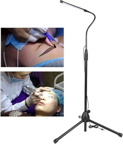 Kikumi Adjustable LED Light 10 Levels Brightness Room Bed Lamp Eye Protection in Kuwait