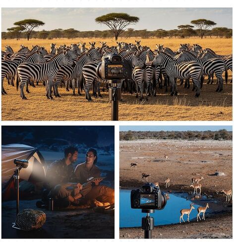 Moxweyeni 6 Pack Game & Trail Camera Mount، 360 درجة قابل للتعديل عالمي 1/4 بوصة - 20 (6 مم) حامل خيط، حامل أرضي لكاميرا Trail للكاميرات والألواح الشمسية in Kuwait