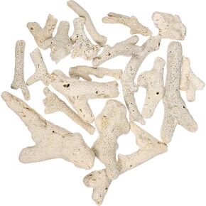 Ipetboom Pond Filter Aquarium Filter Media, 1-4inches Aquarium Filter Coral Stones Aquarium Filter Media Coral for Aquarium Filter |1.1lb/500g Fish Tank Filter