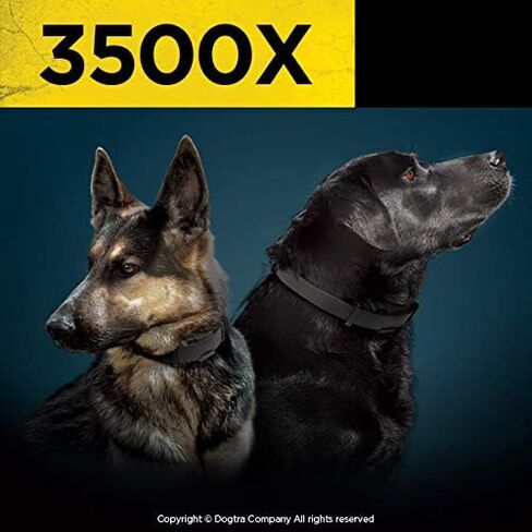 Dogtra 3502X Long Range IPX9K Waterproof 1.5-Mile 2-Dog Expandable Dual DIAL Remote Dog Training E-Collar for Professionals Competition and Working Dog Trainers in Saudi Arabia