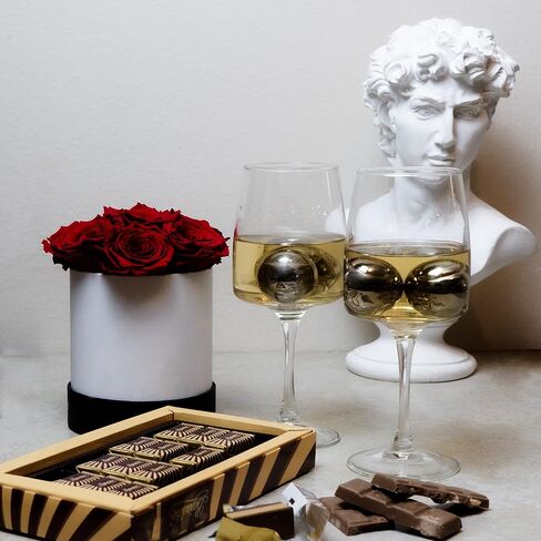 Wine Chilling Spheres with Case, Keeps Your Wine Cold Without Watering Down, Gift for Wine Lover, Wine Accessory, Rose, White, or Red Wine (Silver) in Saudi Arabia