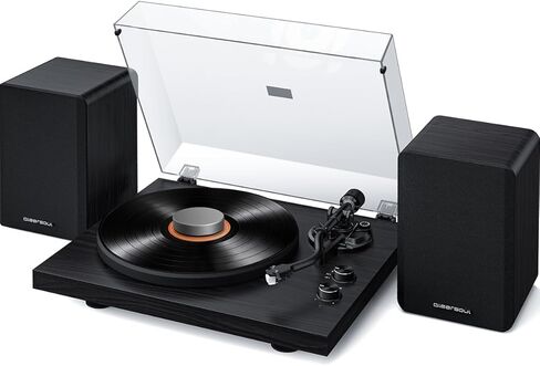 Qlearsoul SoulBox S1 Black Vinyl Record Player with Stereo Speakers & Silver Aluminum Record Weight Stabilizer in Kuwait
