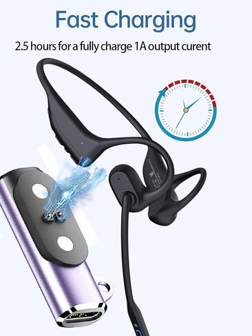 Type-C Charger Adapter for LEVN LE-HS031 V2/LE-HS017 V2 Ear Headphones, Magnetic Type-C Charging Converter for LEVN LE-HS031 V2/LE-HS017 V2 with Keychain Design,(2 Pack,Purple) in Kuwait