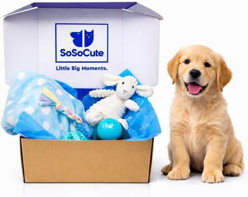 صندوق هدايا SoSoCute Pink Dog - مجموعة ألعاب مضغ للجراء مكونة من 5 قطع - حزمة العناية بالجراء مع بطانية للكلاب، قطيفة تصدر صوتًا، وعضاضة مطاطية للجراء، وكرة تسنين، وكرة علاج للكلاب الصغيرة والمتوسطة in Saudi Arabia