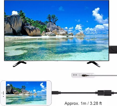 كابل محول USB أنثى إلى ذكر 2 في 1 التوصيل والتشغيل 1080P USB محول للهاتف إلى شاشة التلفزيون مع شريحة فك تشفير مدمجة حافظة ABS إشارة ثابتة in Kuwait