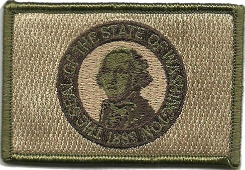 Tactical State Patch - Washington - Multitan in Kuwait