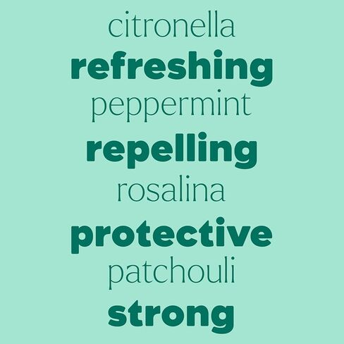 Plant Therapy Kids Shield Me Pests Away Spray 4 oz Naturally Repels Outdoor Annoyances, Great for Camping & Outdoor Get Togethers, Easy & Ready to Use, with Skin-Soothing Aloe & Refreshing Citronella in Kuwait
