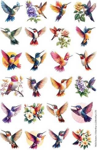 McEtt Hummingbird Sticker Sheets – Cute Colorful Hummingbird Nature Illustration Stickers – 5 Sheet Pack (120 Pieces) in Kuwait
