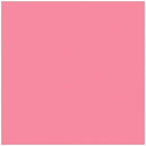 Rosco Roscolux Flesh Pink, 20x24" Color Effects Lighting Filter in Kuwait